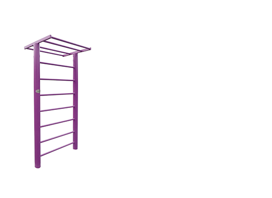 新國標(biāo)腹肌板