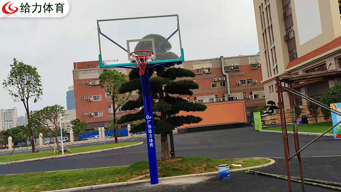 學?；@球架廠家